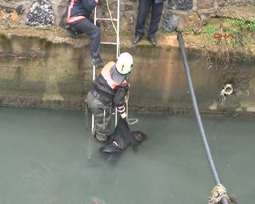 Denizin üzerinde ceset şoku! - Resim: 2