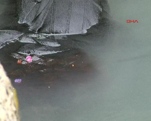 Denizin üzerinde ceset şoku! - Resim: 4