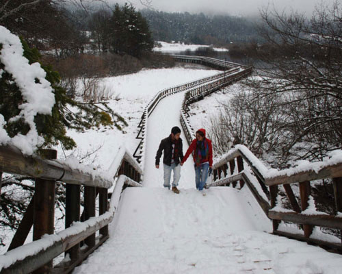 Van'da kar, Muğla'da bahar - Resim: 2