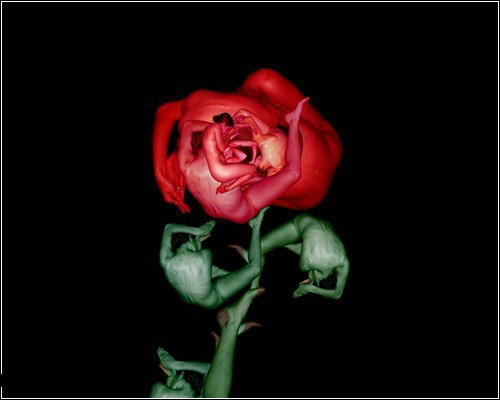 Çıplak bedenler çiçek oldu - Resim: 3