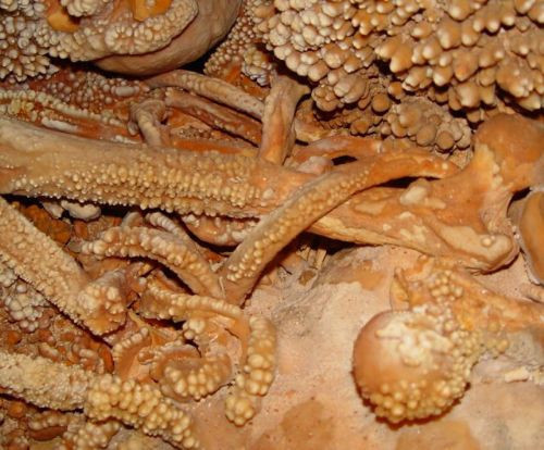 Bilim dünyası şokta 187 bin yıl sonra böyle bulundu - Resim: 3