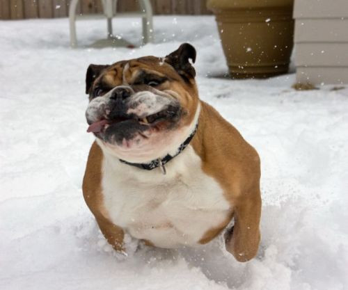 Günün beğenilen 100 karesi - Resim: 4