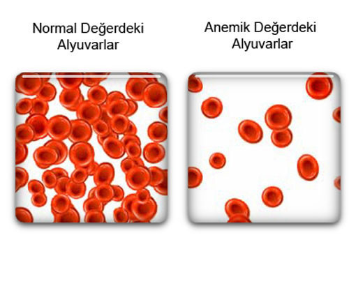 İşte kansızlığın en doğal ilaçları - Resim: 2