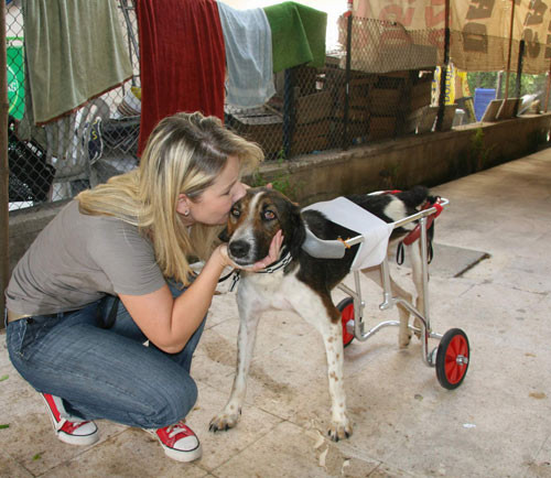 Bu köpeğe hayat verdi! - Resim: 1