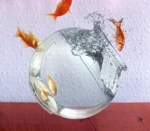 Photoshop mucizesi fotoğraflar - Resim: 2