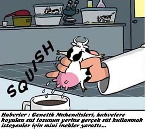İş dünyası karikatürleri - Resim: 3