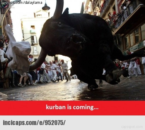 Kurban Bayramı'nın en komik caps'leri burada! - Resim: 3