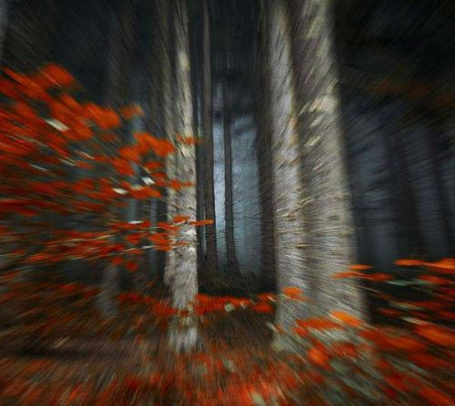 Haftanın dikkat çeken kareleri - Resim: 4