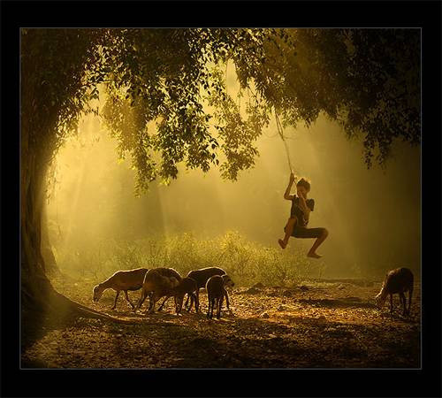 Tartışmalı fotoğraflar - Resim: 1