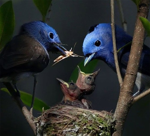 "Onlar" ın hayatını hiç bu şekilde gördünüz mü? - Resim: 1
