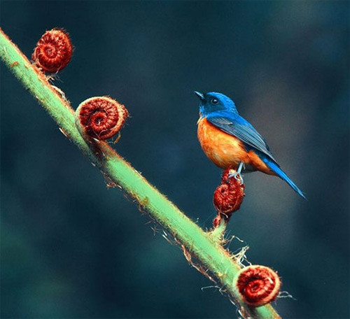 "Onlar" ın hayatını hiç bu şekilde gördünüz mü? - Resim: 2