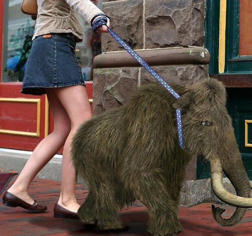 İnternete düşen en ilginç fotoğraflar - Resim: 1