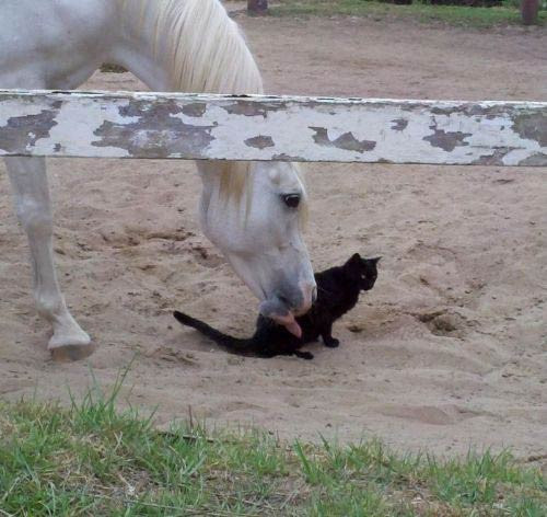 Günün en çok ilgi çeken fotoğrafları - Resim: 2