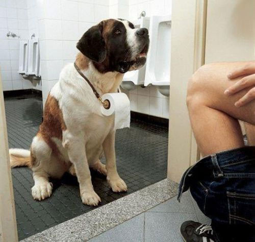 Günün en ilginç kareleri - Resim: 2