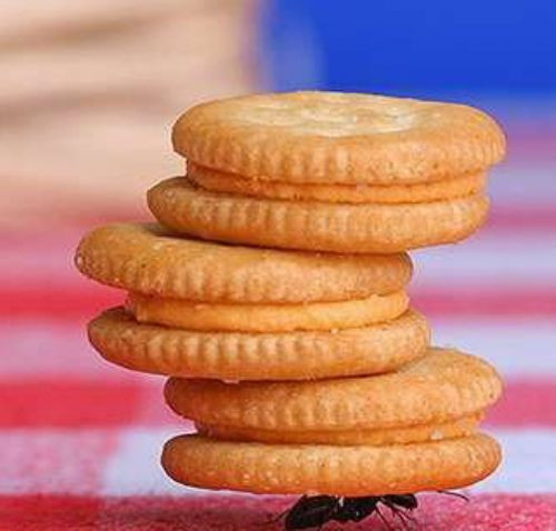 Günün en komik fotoğrafları - Resim: 4