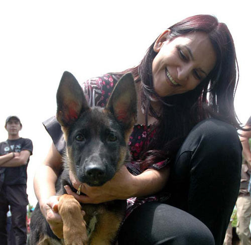 Başkentte Alman çoban köpekleri yarıştı - Resim: 2