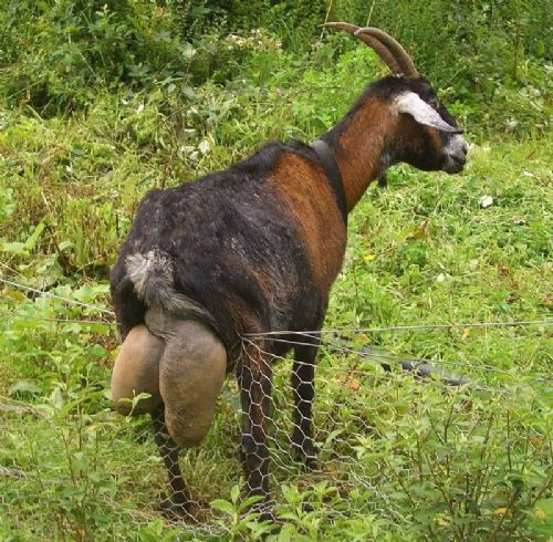 İnternetin en çok tıklanan 100 karesi - Resim: 3