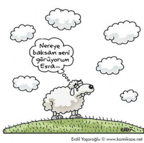 En çok güldüren karikatürler - Resim: 12