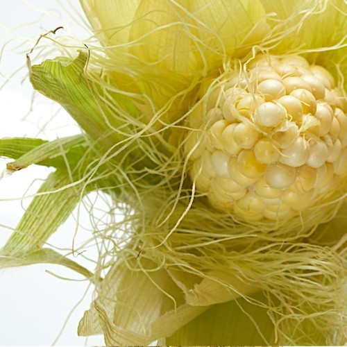 Mısırı püskülü ile kaynatınca...  - Resim: 3