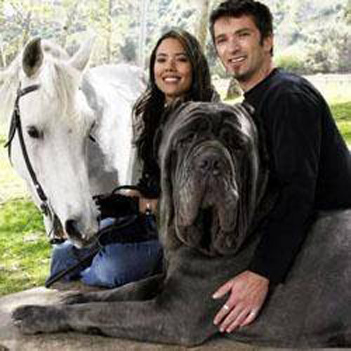 Dünyanın en garipleri! - Resim: 4