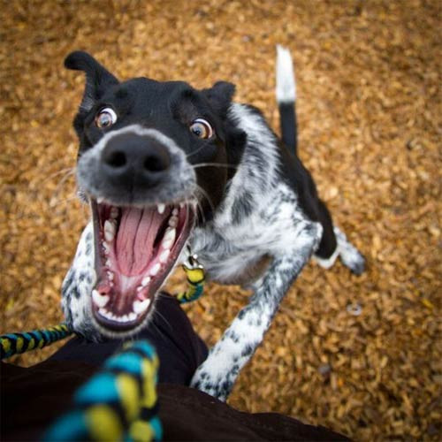 En çok tıklanan fotoğraf kareleri! - Resim: 2