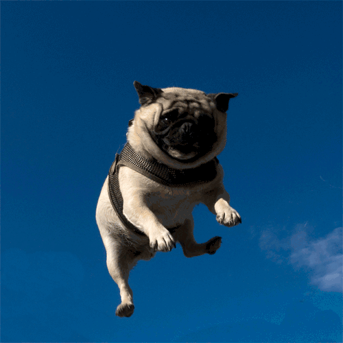 Haftanın en çok tıklanan kareleri - Resim: 1