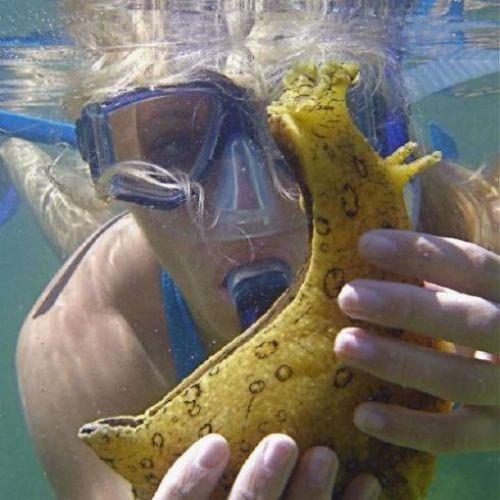 Günün ilginç fotoğrafları - Resim: 1