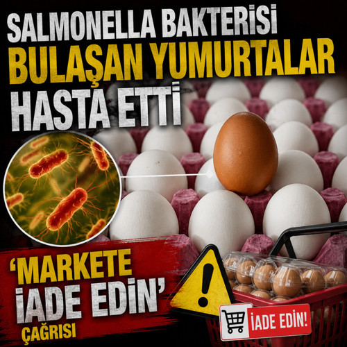 Salmonella bakterisi bulaşan yumurtaları tüketen 306 kişi hastalandı