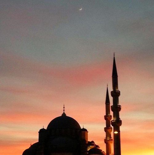 Sara Sierra'nın son fotoğrafları - Resim: 4