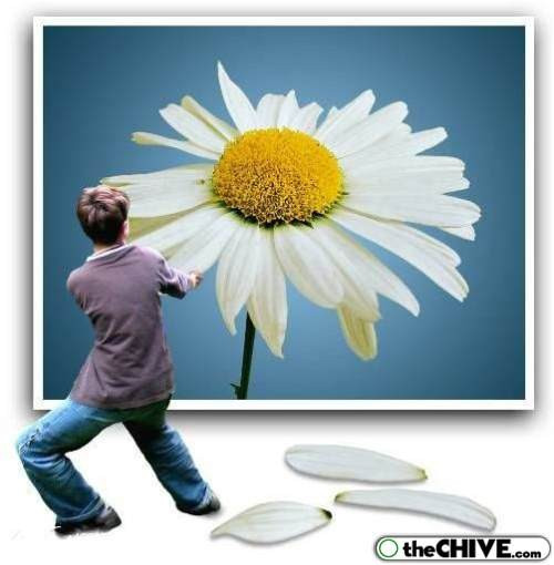 Çizgilerden taşan fotolar - Resim: 4