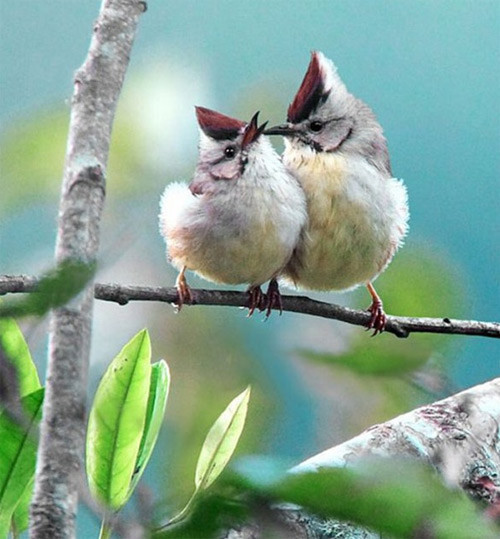"Onlar" ın hayatını hiç bu şekilde gördünüz mü? - Resim: 4