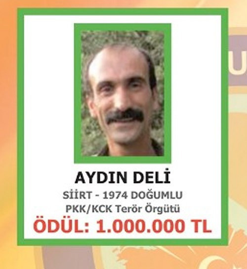 Siirt doğumlu aranan terörist listesi  - Resim: 3