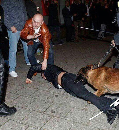 Hüseyin Kurt'u sadece köpekler ısırmamış! Kalın dehşeti anlattı - Resim: 2