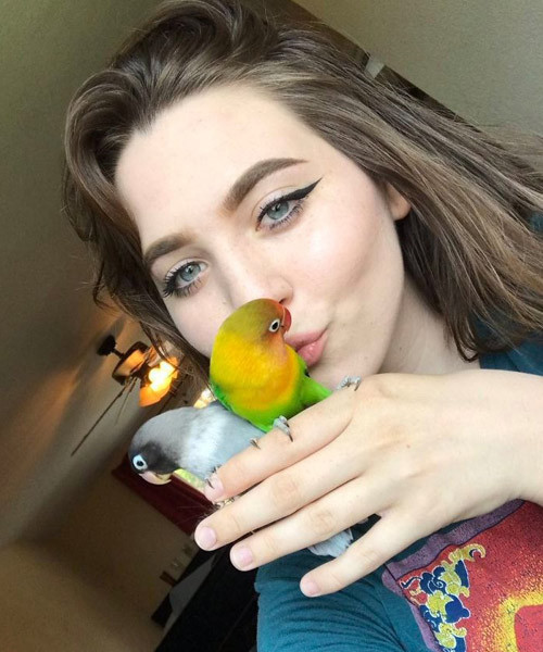 Sosyal medyanın yeni fenomenleri aşık papağanlar Kiwi ve Siouxsie! - Resim: 1