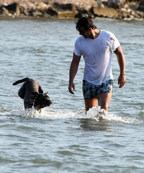 İbrahim Çelikkol köpeği 'Jozi' ile denizin keyfini çıkardı! - Resim: 1