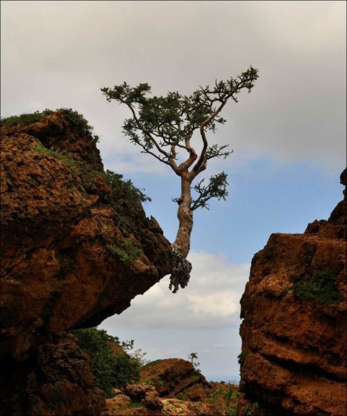 Haftanın en çok tıklanan 30 fotoğrafı - Resim: 1