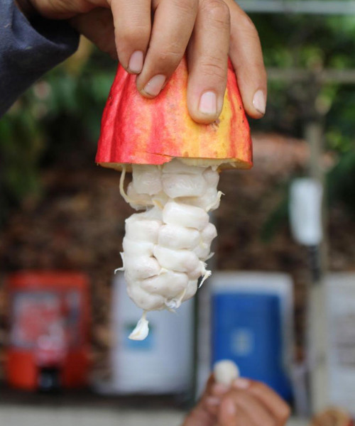 Her gün afiyetle tüketiyoruz! Bakın nasıl üretiliyormuş... - Resim: 5
