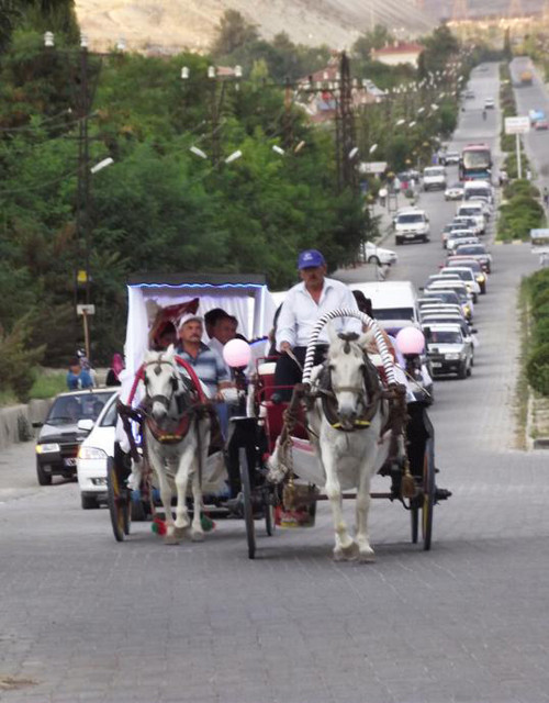 Nallıhan'da düğünlere fayton keyfi - Resim: 3