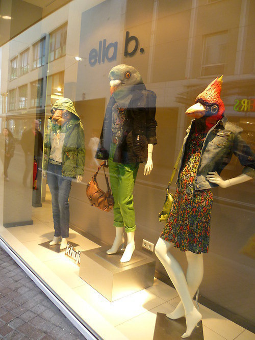 Bu fotoğraflara tek sorumuz var neden? - Resim: 2