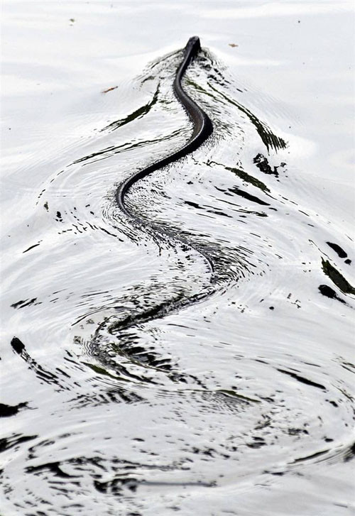 Haftanın fotoğrafları - Resim: 3