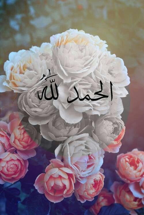 Berat Kandili duaları neler 100 rekatlık kandil namazı kılınışı - Resim: 4