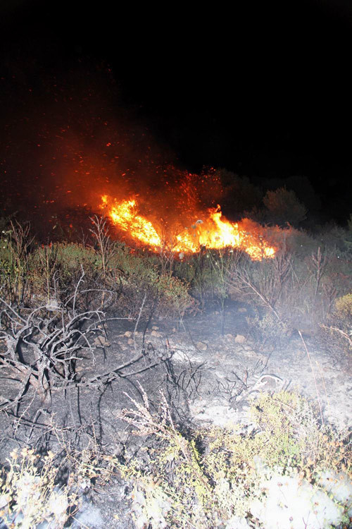 Tatil cenneti alevlere teslim! - Resim: 3