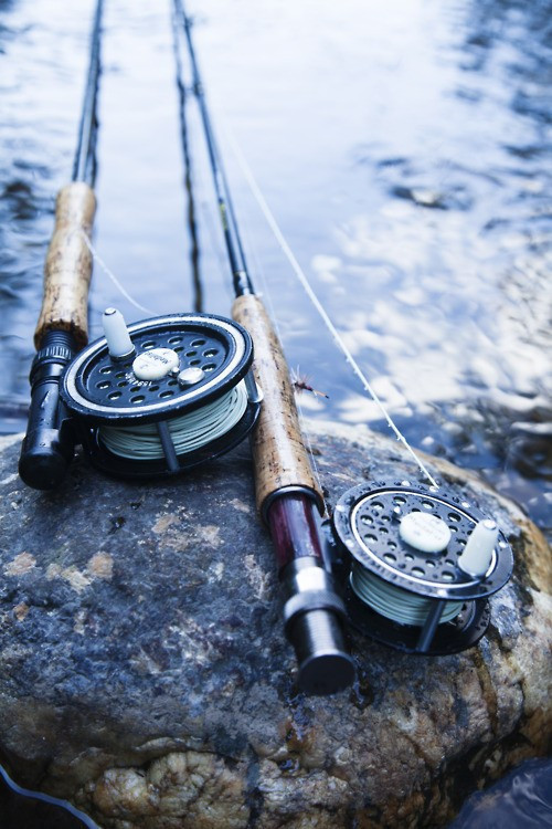 Dünyanın en kötü 10 suçu! - Resim: 2