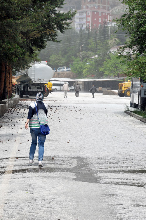 Fındık kadar dolu yağdı - Resim: 4