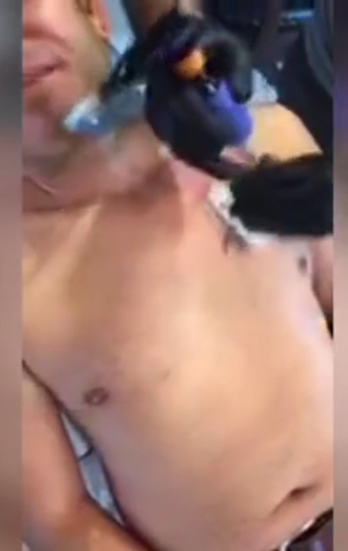 Fatih Portakal çıplak görüntülendi!  - Resim: 3