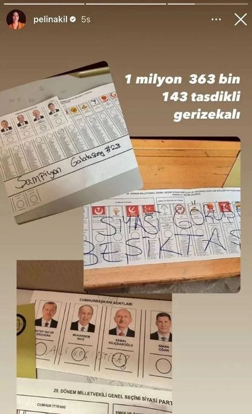 Pelin Akil geçersiz oy kullananlara ateş püskürdü! "1 milyon 363 bin 143 tasdikli gerizekalı" - Resim: 2