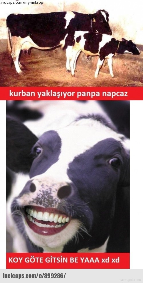 Kurban Bayramı'nın en komik caps'leri burada! - Resim: 2