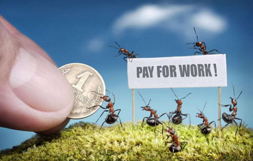 Bu karıncalar çok artistik - Resim: 1