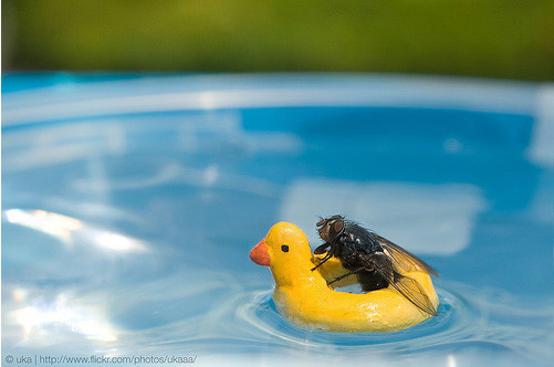 İnanmak çok zor - Resim: 1