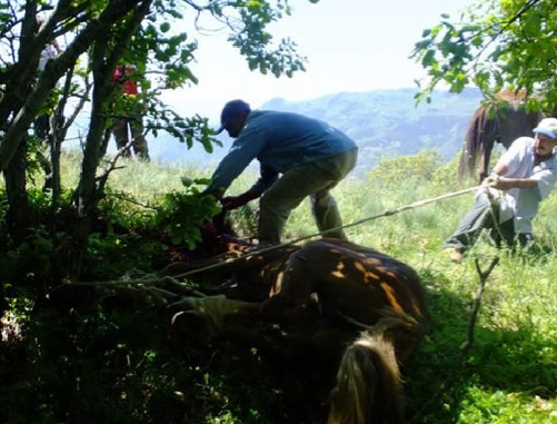 400 yıllık vahşi gelenek! - Resim: 3